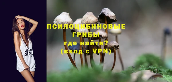 мдпв Новокубанск