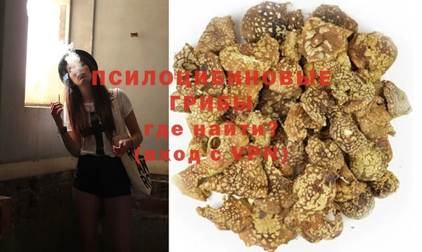 МДМА Новодвинск