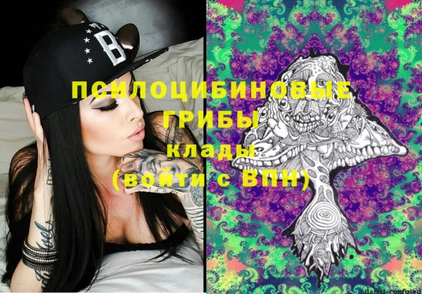 jwh Новозыбков