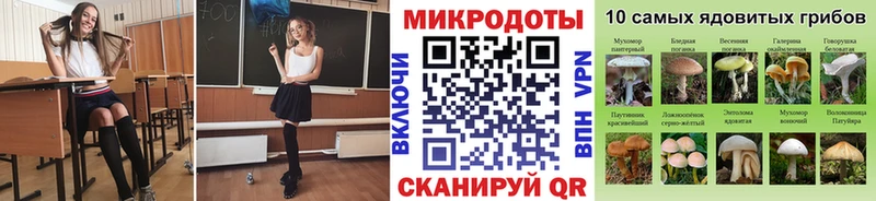 KRAKEN как войти  даркнет сайт  Новый Уренгой  Галлюциногенные грибы Magic Shrooms 