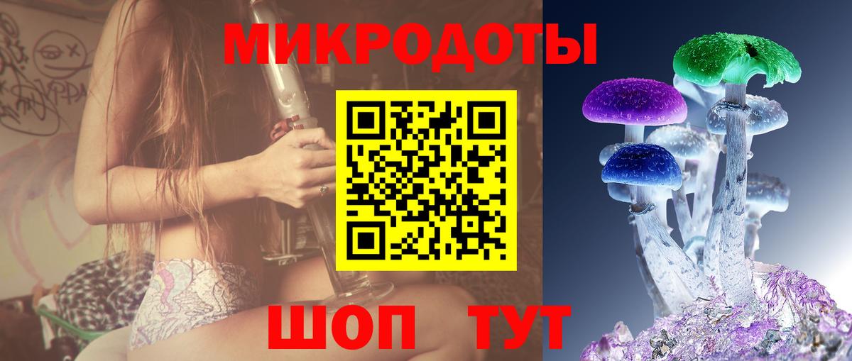 Галлюциногенные грибы Psilocybine cubensis Новый Уренгой